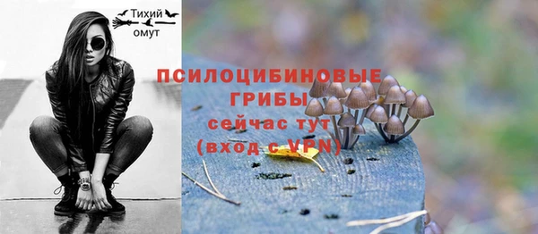 дмт Верея