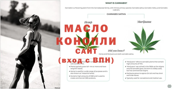 дмт Верея