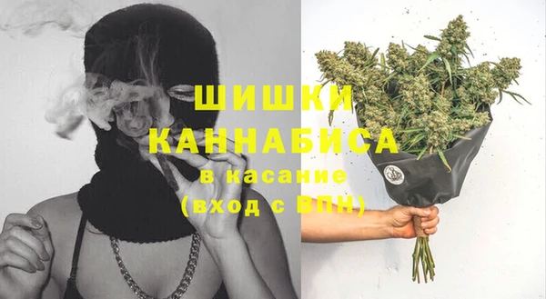дмт Верея