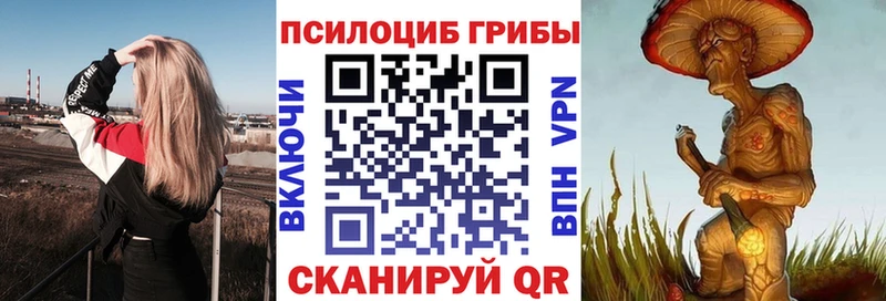 Галлюциногенные грибы Cubensis  МЕГА рабочий сайт  Циолковский 